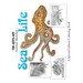 Sea Life: A Special Edition Coloring Book