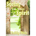 Seeing In the Spirit