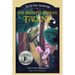 Sir Princess Petra's Talent: Book 2 in the International-Award-Winning Children's Fantasy Series
