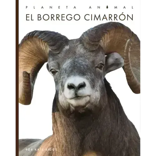 El Borrego Cimarrón