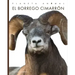 El Borrego Cimarrón