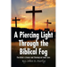 A Piercing Light Through the Biblical Fog: The Bible's Literary and Theological Inner Core