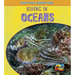 Hiding in Oceans