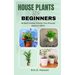 House Plants for Beginners: 25 Best Indoor Plants You Should Have in 2024