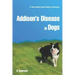 Addison's Disease in Dogs
