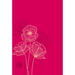 The Passion Translation New Testament (2020 Edition) Compact Fuchsia: With Psalms, Proverbs and Song of Songs