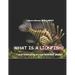 What Is A Lionfish?: A Local Science by a Local Scientist series