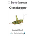 Grasshopper