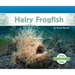 Hairy Frogfish