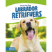 Labrador Retrievers