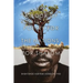 A Book of Poetry for the Nations: For SHALOM