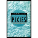 Fool the World: The Oral History of a Band Called Pixies