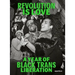Revolution Is Love: A Year of Black Trans Liberation