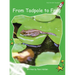 From Tadpole to Frog