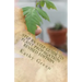 Step By Step Guide To Plant Propagation Revised Edition