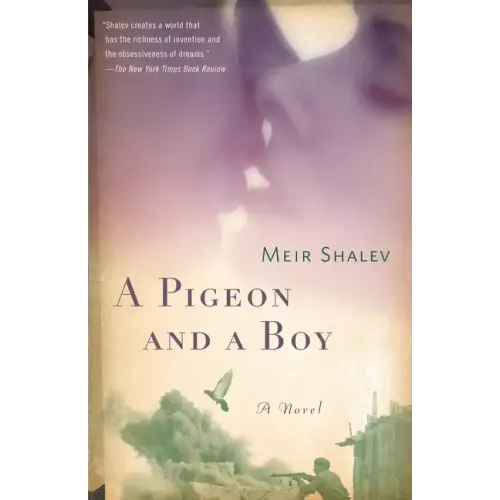 A Pigeon and a Boy