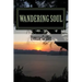 Wandering Soul: full of love, pain, and fun