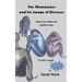 The Womanizer and his Image of Diseases: About love fields and isolation traps