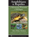 Amphibians & Reptiles of Minnesota, Wisconsin & Michigan: A Field Guide to All 77 Species & Subspecies