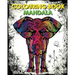 Colouring Book Mandala: Reduce Stress & Bring Balance (+100 Pages)