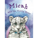 Micah and the Worry Stone