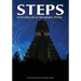 Steps: in Decoding Mayan Hieroglyphics Writing