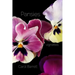 Pansies