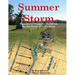 Summer Storm: Regimental Wargame Scenarios For the Battle of Gettysburg