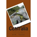 Centralia: The Rise And Fall Of Pennsylvania's Most Notorious Town