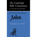 The Gospel According to John