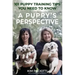 A Puppy's Perspective: 101 Puppy Training Tips You Need to Know