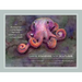 From the Seashore to the Seafloor: An Illustrated Tour of Sandy Beaches, Kelp Forests, Coral Reefs, and Life in the Ocean's Depths