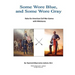 Some Wore Blue, and Some Wore Gray: Rules For American Civil War Games With Miniatures