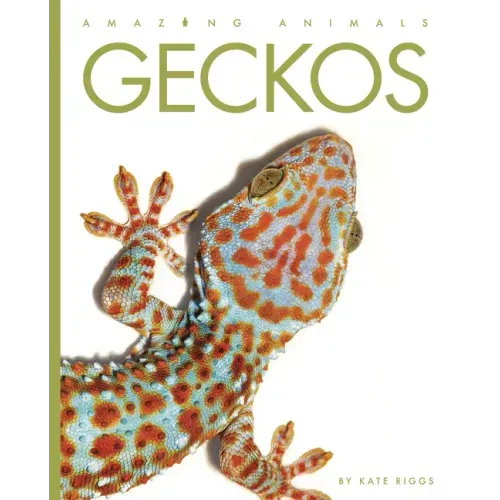 Geckos