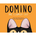 Domino: The Clumsy Cat