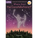 Where Are the Constellations?