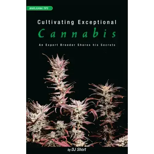 Cultivating Exceptional Cannabis: An Expert Breeder Shares His Secrets