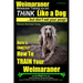 Weimaraner, Weimaraner Training AAA AKC: Think Like a Dog, But Don't Eat Your Poop! Weimaraner Breed Expert Training: Here's EXACTLY How To TRAIN Your