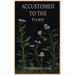 Accustomed to the Dark