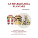 La riflessologia plantare