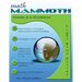 Math Mammoth Grade 2-A Worktext