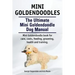 Mini Goldendoodles. The Ultimate Mini Goldendoodle Dog Manual. Miniature Goldendoodle book for care, costs, feeding, grooming, health and training.