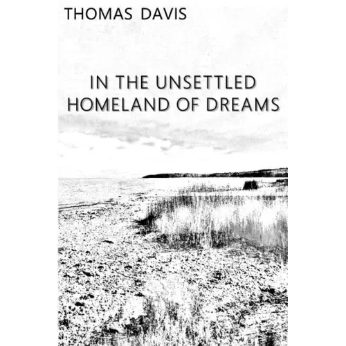 In the Unsettled Homeland of Dreams