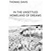 In the Unsettled Homeland of Dreams