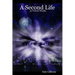 A Second Life In Virtual Worlds