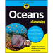 Oceans for Dummies