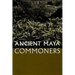 Ancient Maya Commoners