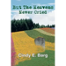 But The Heavens Never Cried