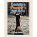 Lenny & Puppy's Wildlife Adventure