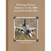 Divining Victory: Airpower in the 2006 Israel-Hezbollah War